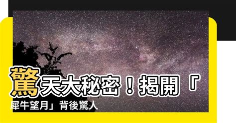 犀牛望月 意思|犀牛望月 的意思、解釋、用法、例句